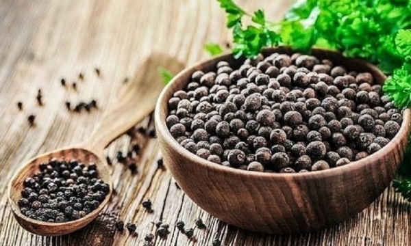 Giá tiêu hôm nay 28/2: Điều chỉnh giảm 500 đồng/kg