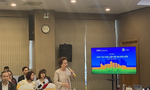 Đề nghị không thực hiện thu hồi để đấu giá, cho phép người sử dụng đất thực hiện dự án nhà ở