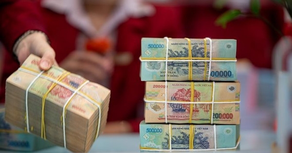 Lộ diện lĩnh vực có mức lương cao nhất Việt Nam, có vị trí lên tới 600 triệu đồng?