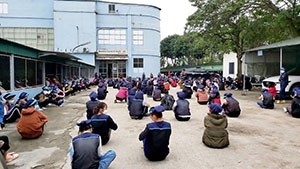 Chây ỳ đóng bảo hiểm, hơn 700 doanh nghiệp tại Nghệ An bị 'điểm tên'