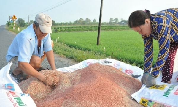 Giá phân bón hôm nay 19/3: Giao dịch cuối tuần trầm lắng