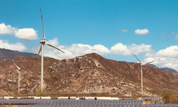 Yêu cầu có giá điện cho dự án điện gió, điện mặt trời chuyển tiếp trước ngày 31/3