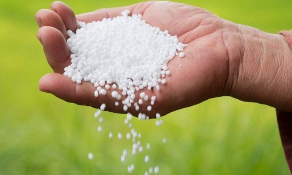 Giá phân bón hôm nay 4/4: Ure giảm