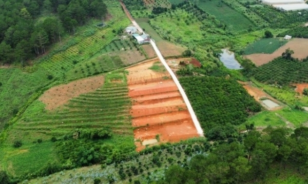Tin bất động sản ngày 25/4: Dự án Tập đoàn TH đề xuất tại Lâm Đồng ảnh hưởng đến đất rừng và lâm nghiệp