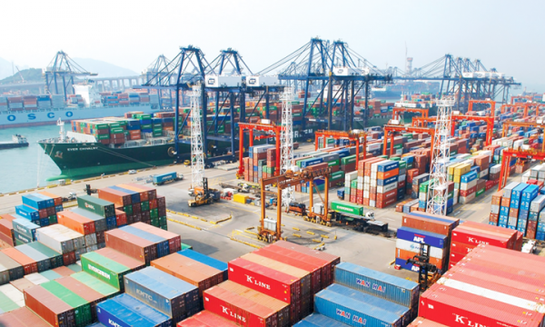 Xuất nhập khẩu hàng hóa của Việt Nam giảm