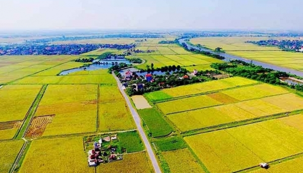 Tin bất động sản ngày 5/5: TP HCM đề xuất thí điểm đổi đất nông nghiệp lấy đất ở