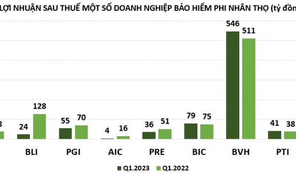 Quý 'hụt chân' của doanh nghiệp bảo hiểm phi nhân thọ