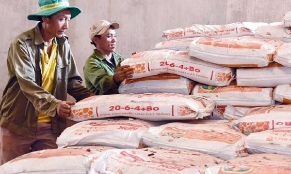 Giá phân bón hôm nay 3/6: DAP giảm theo xu hướng thế giới