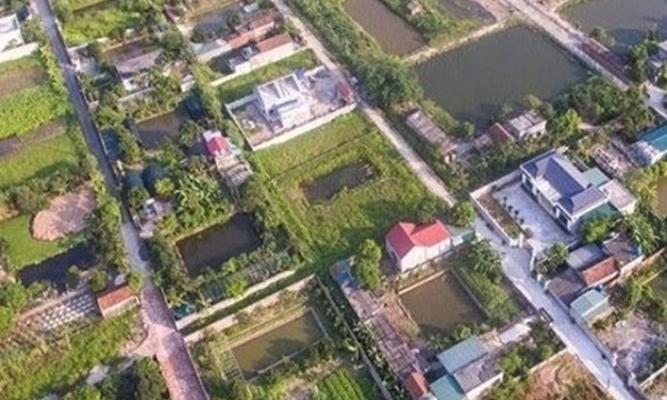 Thái Bình: Công khai loạt doanh nghiệp vi phạm pháp luật về đất đai