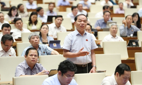 ĐBQH Lê Thanh Vân: “Đất nước đang rất cần sự dốc sức của lực lượng doanh nhân”