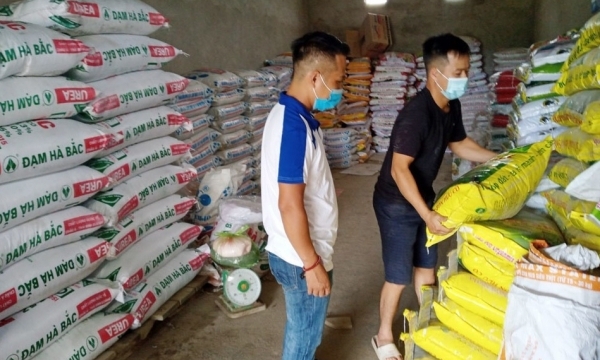 Giá phân bón hôm nay 13/6: Urê chịu sức ép từ thị trường thế giới