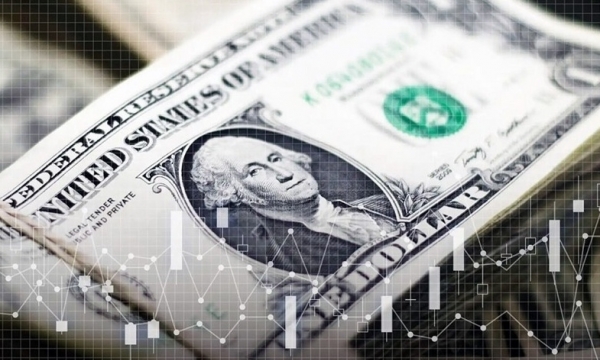 Tỷ giá ngoại tệ hôm nay 13/6: Đồng USD trong nước giảm nhẹ