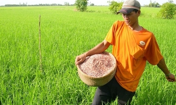 Giá phân bón hôm nay 23/6: Xuất khẩu NPK tăng