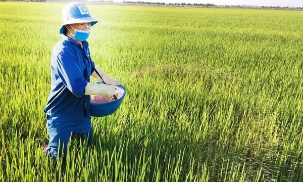 Giá phân bón hôm nay 25/6: Duy trì ổn định