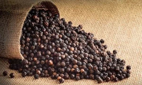 Giá tiêu hôm nay 26/6: Duy trì ổn định