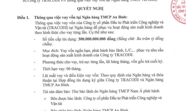 Tracodi dùng tài sản đảm bảo là cổ phiếu, cổ phần của Bamboo Capital để vay tiền