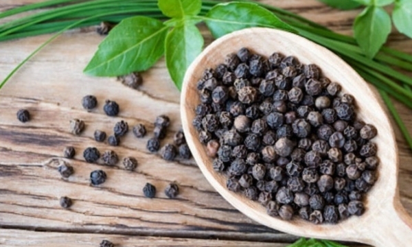 Giá tiêu hôm nay 8/7: Lấy lại đà tăng