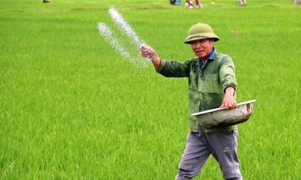 Giá phân bón hôm nay 9/7: Nhập khẩu Kali giảm