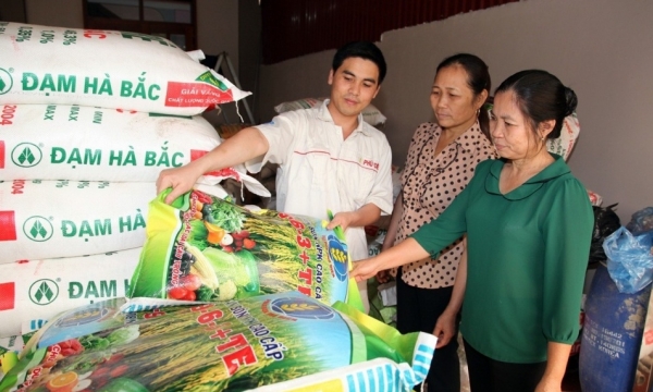 Giá phân bón hôm nay 14/7: Giao dịch kém sôi động