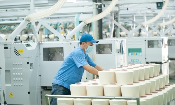 TP HCM: 62% doanh nghiệp giảm lợi nhuận