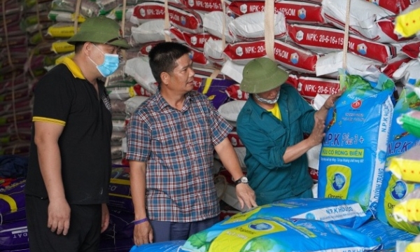 Giá phân bón hôm nay 18/7: Giao dịch trầm lắng