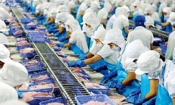 Khoảng 15.000 tỷ đồng tín dụng dành cho lĩnh vực lâm sản, thủy sản