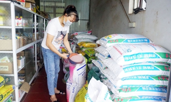 Giá phân bón hôm nay 25/7: Giao dịch bình ổn
