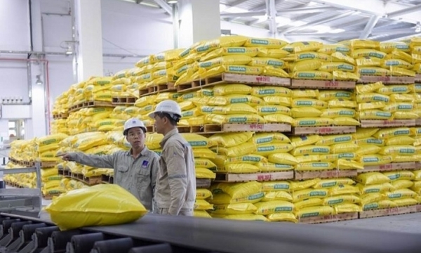 Giá phân bón hôm nay 26/7: Giao dịch chậm