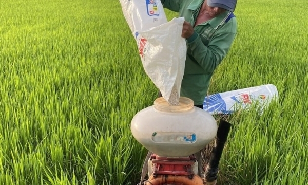 Giá phân bón hôm nay 31/7: Giao dịch NPK chững lại