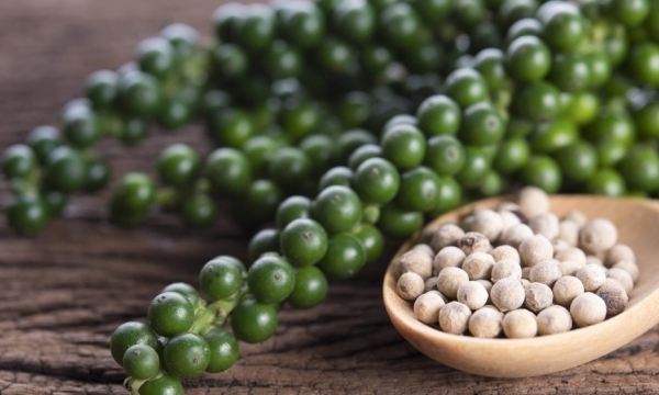 Giá tiêu hôm nay 6/8: Tiếp tục tăng