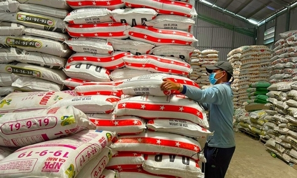 Giá phân bón hôm nay 7/8: Kali có xu hướng tăng