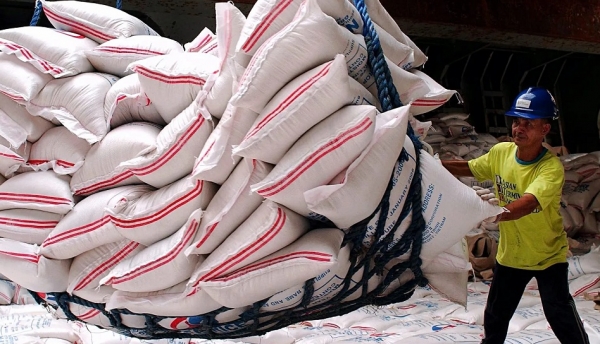 Giá gạo thế giới gần mức cao nhất trong 15 năm