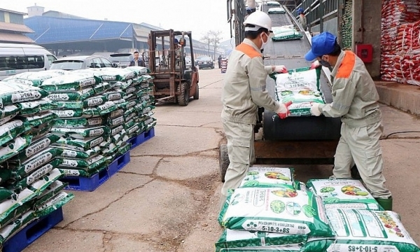 Giá phân bón hôm nay 17/8: Kali Lào ổn định