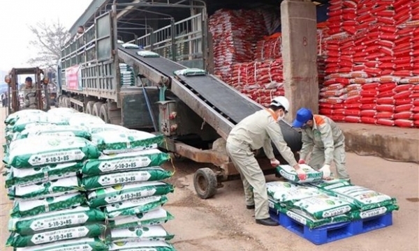Giá phân bón hôm nay 19/8: Ure tạm chững, DAP một số khu vực giảm