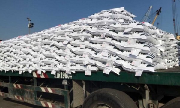 Giá phân bón hôm nay 22/8: Lượng nhập khẩu tăng 6% so với cùng kỳ