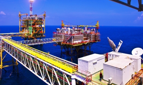 Giá xăng dầu hôm nay (22/8): Dầu thô tiếp đà giảm