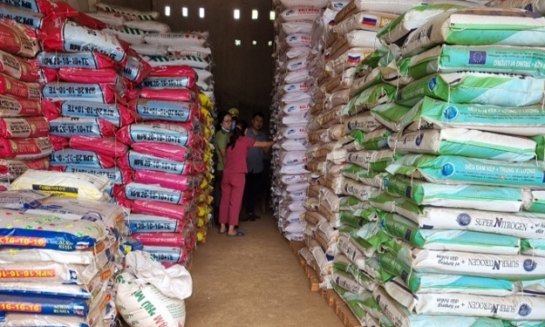 Giá phân bón hôm nay 24/8: NPK Trung Quốc tăng