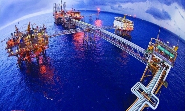 Giá xăng dầu hôm nay (24/8): Dầu thô tiếp đà lao dốc