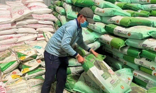 Giá phân bón hôm nay 28/8: Thị trường bình lặng