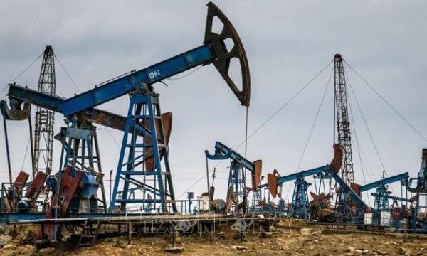 Giá xăng dầu hôm nay (28/8): Dầu thô đi ngang trong phiên giao dịch đầu tuần