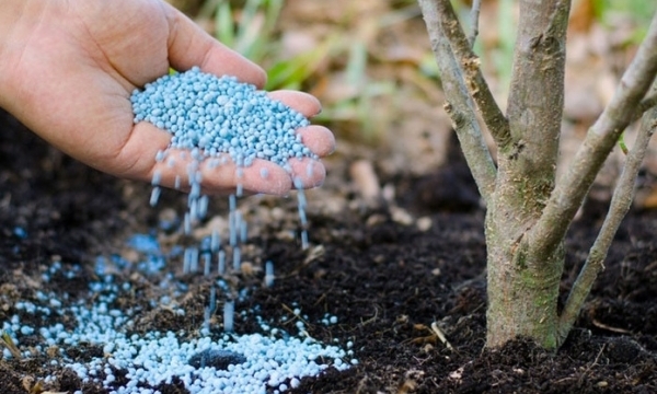 Giá phân bón hôm nay 29/8: Giao dịch trầm lắng