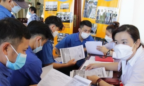 Nhiều doanh nghiệp xuất khẩu lao động bị phạt tiền, đình chỉ hoạt động