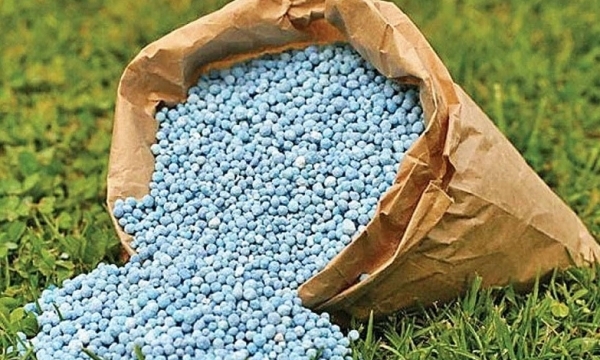 Giá phân bón hôm nay 31/8: Giao dịch nội địa ở mức thấp