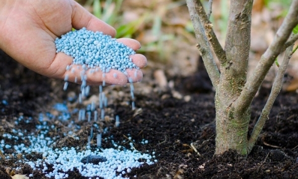 Giá phân bón hôm nay 2/9: Thị trường trầm lắng