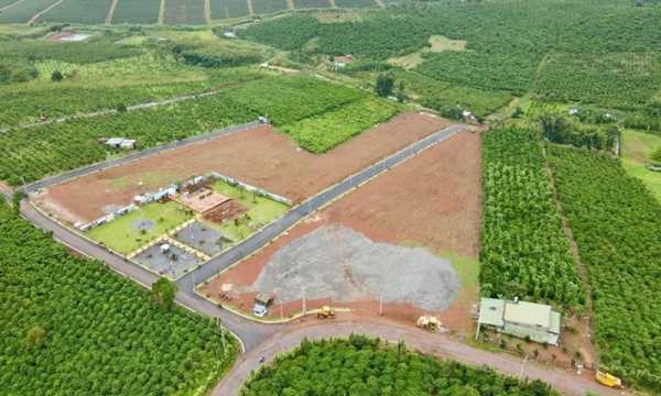 Điều kiện chuyển nhượng đất nông nghiệp