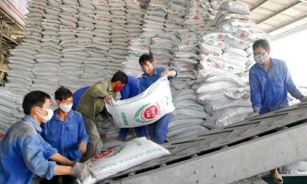 Giá phân bón hôm nay 13/9: Giao dịch cầm chừng