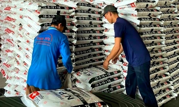 Giá phân bón hôm nay 19/9: Duy trì ổn định