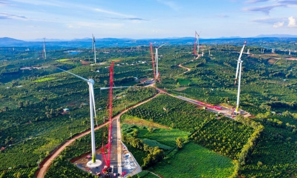 'Núi nợ' trái phiếu của thành viên trong hệ sinh thái Trungnam Group