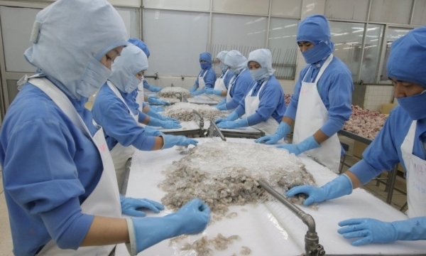 Xuất khẩu tôm sang Mỹ và Trung Quốc tiếp đà tăng