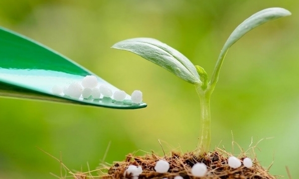 Giá phân bón hôm nay 25/9: Giao dịch trầm lắng